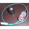 Anode